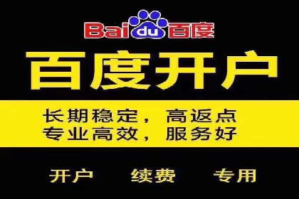 专业SEM托管服务，案例展示精准营销成果